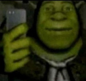 Create meme: the face of Shrek, Shrek meme, Shrek funny