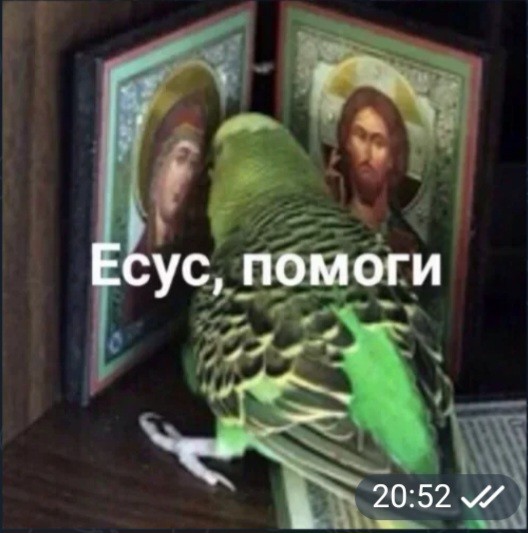 Create meme: Yes, help me., Yes, can you hear me, yes, the parrot meme, Yes, can you hear me, yes