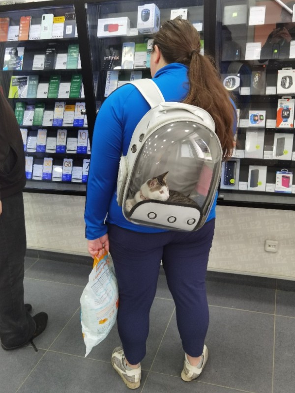 Create meme: backpack carrier for cats, backpack for carrying cats, backpack carrier for animals