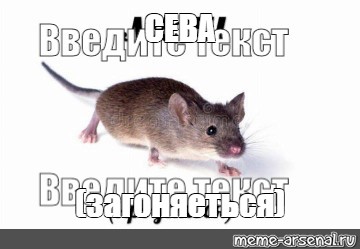 Создать мем: null