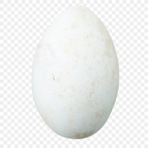 Create meme: stencil egg PNG, egg, piece of wood egg 11 cm