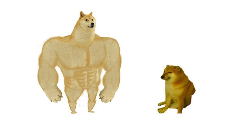 Create meme: the pumped-up dog from memes, doge is a jock, meme with a jock and a dog without inscriptions