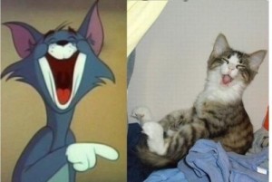 Create meme: funny, Tom and Jerry, meme cat