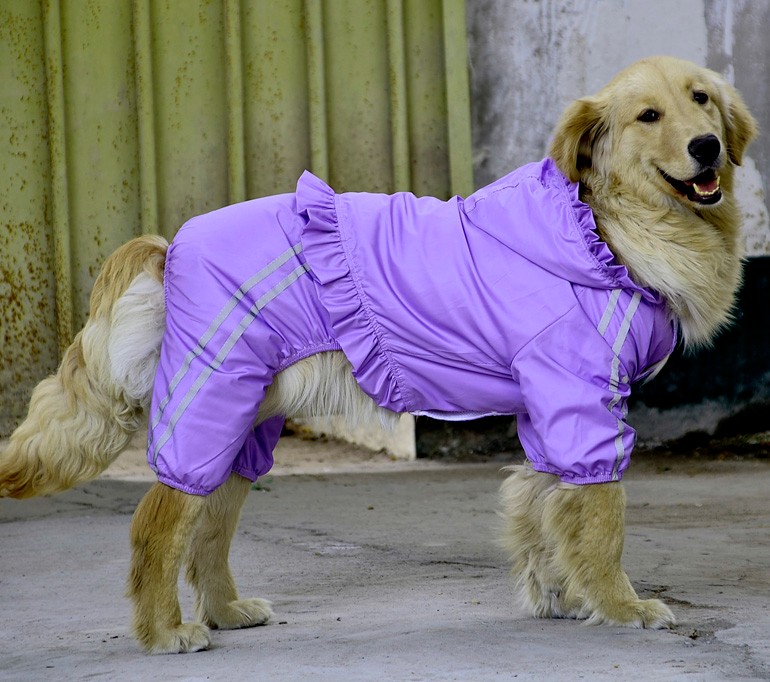 Create meme: darell jumpsuit raincoat for big dogs, stylish clothes for dogs, clothes for big dogs
