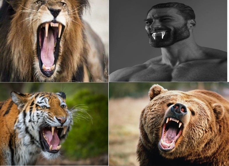 Create meme: grizzly bear vs. lion, Ernest Khalimov, grizzly bear 