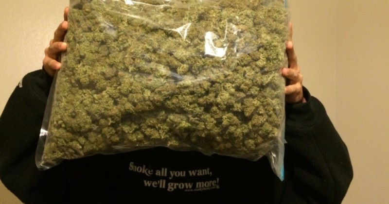 Create meme: a gram of marijuana, cannabis , cannabis heads in bags