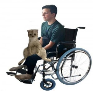Создать мем: кен в инвалидной коляске, человек в инвалидной коляске, девушка на коляске инвалидной на белом фоне