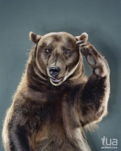 Создать мем: медведь сидит, медведь портрет, хитрый медведь