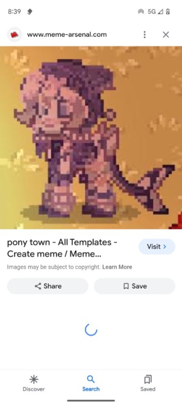 Create meme: beautiful pony town skins, pony town, pony town skin