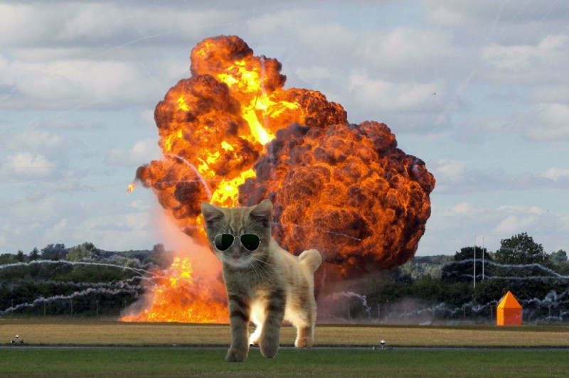 Create meme: cat on the background of an explosion, the explosion , fire blast 
