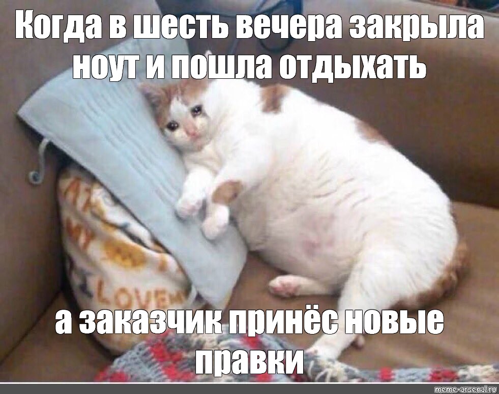 Давай в 6 вечера. Толстый кот плачет Мем. Толстый котик плачет. Мемы с толстыми котами. Толстый кот который плачет мемы.