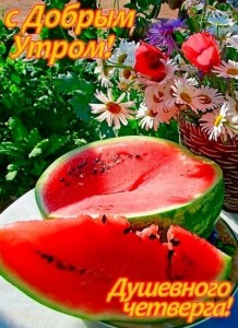 Create meme: summer watermelon