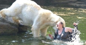Создать мем: медведь напал на человека, нападение животных на людей, белый медведь напал в зоопарке на