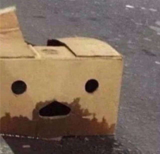 Create meme: the upturned box, funny box, The meme box