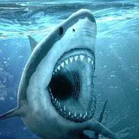 Create meme: download Wallpaper for mobile great white shark, Megalodon shark, great white shark