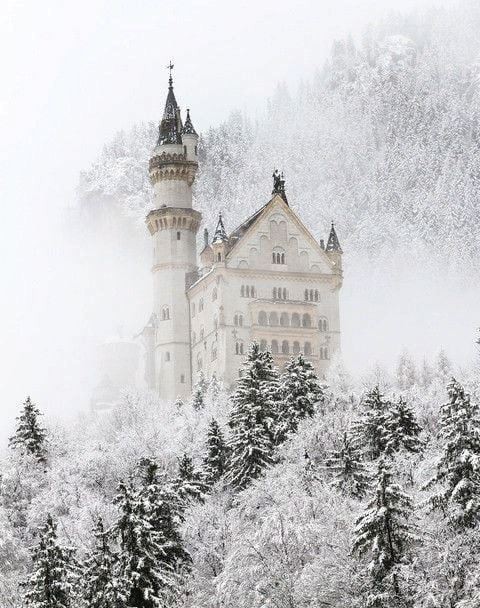 Создать мем: замок нойшванштайн в германии, зимний замок нойшванштайн, замок нойшванштайн зима