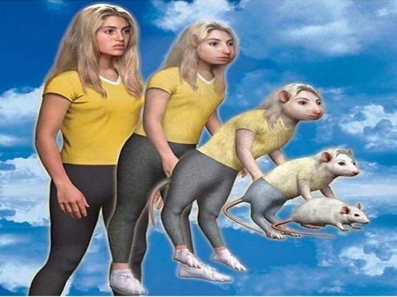 Создать мем: человек, девушка обезьяна, женщина
