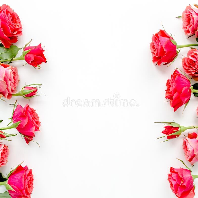 Create meme: flowers frame, red roses on a white background, frame of roses