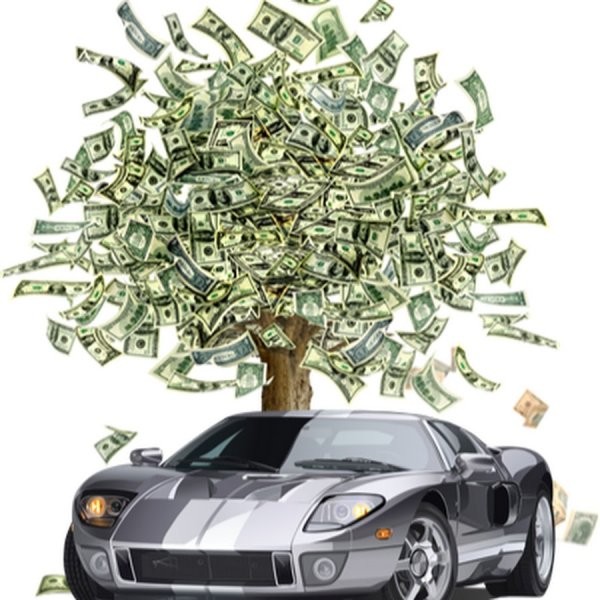 Create meme: A tree with money, money tree , money tree investments