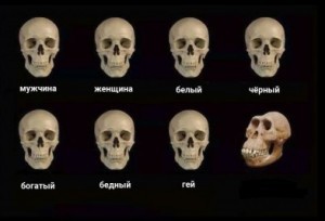 Create meme: skull black, skull, skull meme