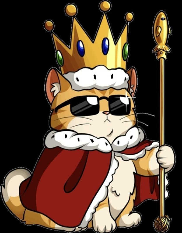 Create meme: the king cat, king , king 