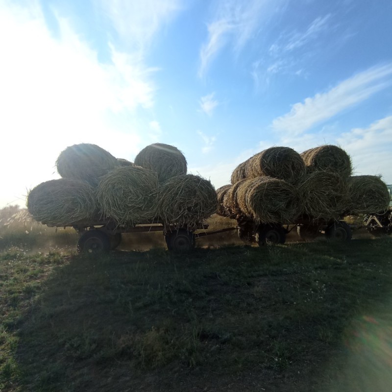 Create meme: hay , hay in rolls, hay bale