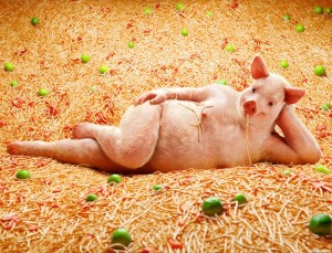 Create meme: pig and Piglet, funny pigs, animals pig