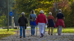 Создать мем: скандинавская ходьба пенсионеры, скандинавская ходьба с палками техника ходьбы для пожилых, увеличение продолжительности жизни