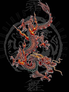 Create meme: Chinese fire dragon, japanese dragon, asian dragon