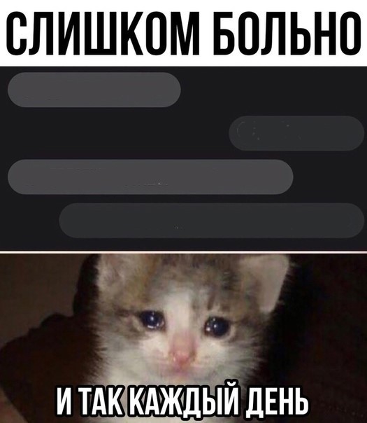 Create meme: sad cat , meme crying cat, crying cat