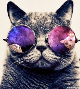 Создать мем: кошка, dubstep cat, котик с очками космос