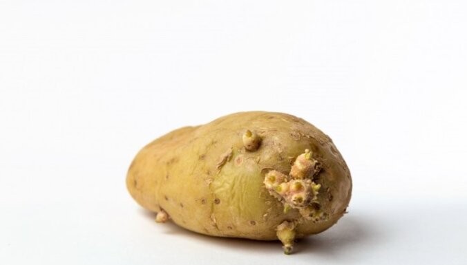 Create meme: tuber, green potatoes, sprouted potatoes