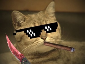 Create meme: cats with pixel glasses, cats from steam, seals