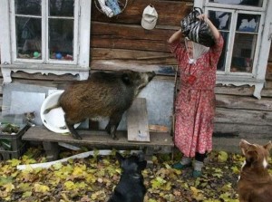 Создать мем: сельский, в деревне, жизнь в деревне