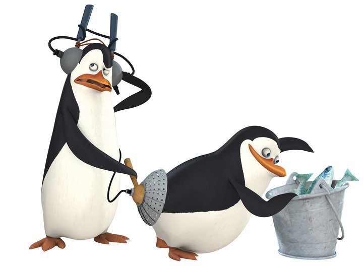 Create meme: the penguins of Madagascar , the penguins of Madagascar Kowalski, penguins of Madagascar skipper