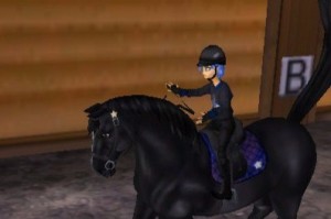 Create meme: horse, sso, star stable online