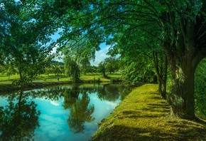 Создать мем: пейзаж речка и деревья, nature landscape, вертикальные обои на смартфон природа речка