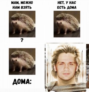 Create meme: meme the hedgehog, hedgehog memes