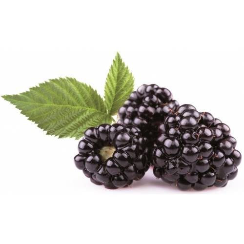 Create meme: BlackBerry , blackberry berry, blackberries 125 gr