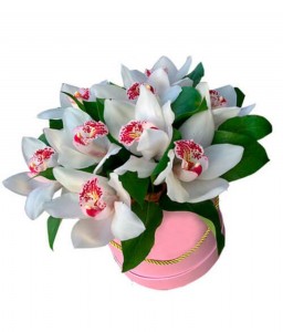 Create meme: flowers pictures Orchid bouquet, bouquet of orchids, white Orchid bouquet