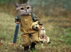 Create meme: cat hunter, cat on the hunt, funny cats