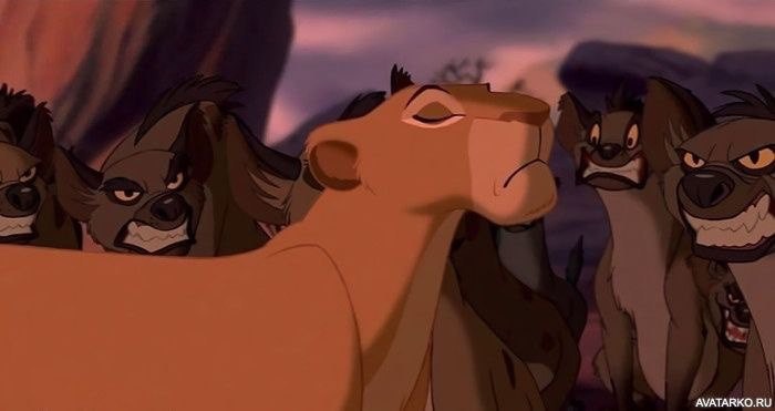 Create meme: the lion king , lion king lionesses, hyenas lion king