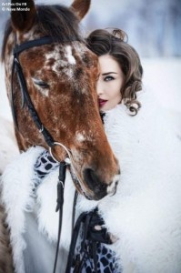 Создать мем: лошади красивые, фотосессия с лошадью зимой, зимняя фотосессия с лошадью