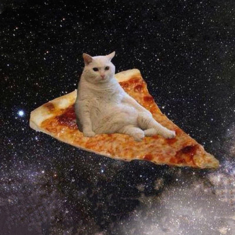 Create meme: the cat is flying on a pizza, cat in space meme, pizza cat 