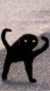 Создать мем: кот, Кошка, ъуъ съука черный кот мем