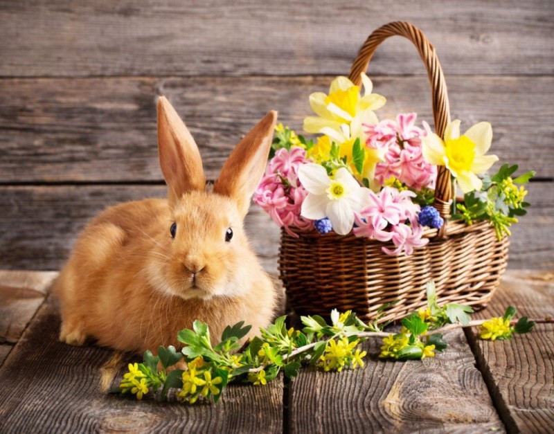Create meme: rabbit with flowers, rabbit in flowers, easter bunny