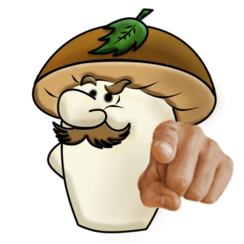 Create meme: mushroom boletus cartoon, merry mushroom, mushroom boletus drawing