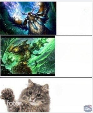 Create meme: wow shadowlands Druid Balance, druid , Balance druids