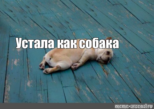 Не уставай делать. Мемы про усталость. Уставшая собака. Устала мемы. Мемы уставший.