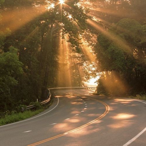 Создать мем: дорога красивая, дорога обочина утро, дорога рассвет